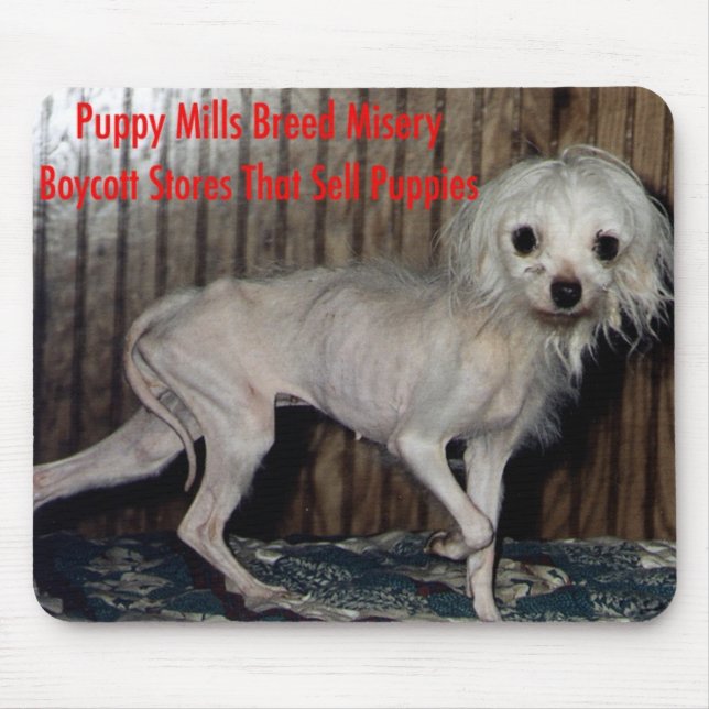 Mousepad (Front)