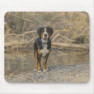 Mousepad