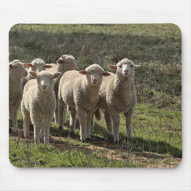 Mousepad (Front)