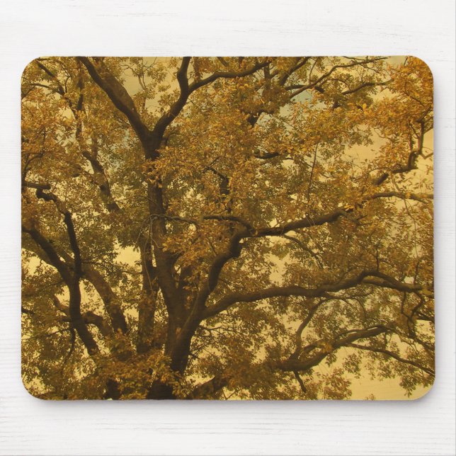 Mousepad Autumn Massive Tree Yellow (Front)