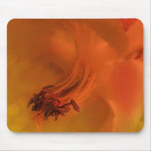Mousepad Columbine Flower Edited Orange