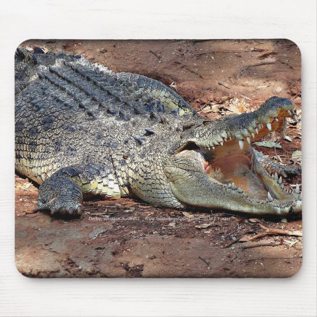 Mousepad - Crocodile (Front)
