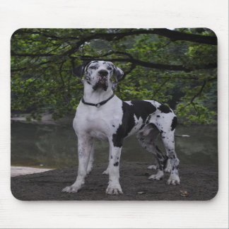 Mousepad Dane Ares