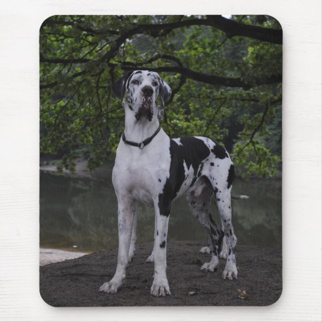 Mousepad Dane Ares (Front)