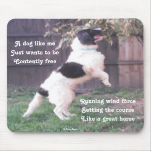 Mousepad Dog Horse Poem By Ladee Basset