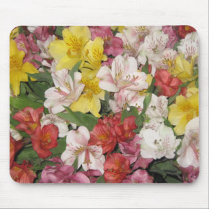 Mousepad in Bloom