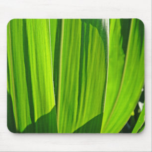 Mousepad Maisblätter