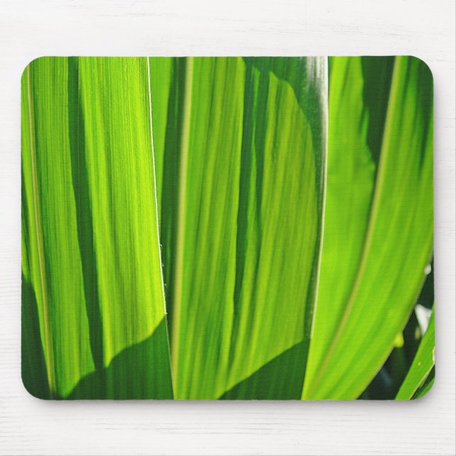 Mousepad Maisblätter (Front)