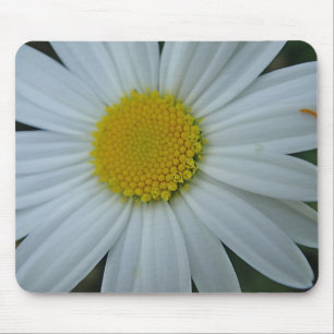 Mousepad Margerite in weiss