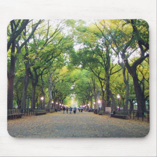 Mousepad - NY Central Park