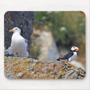 Mousepad of puffin & seagull