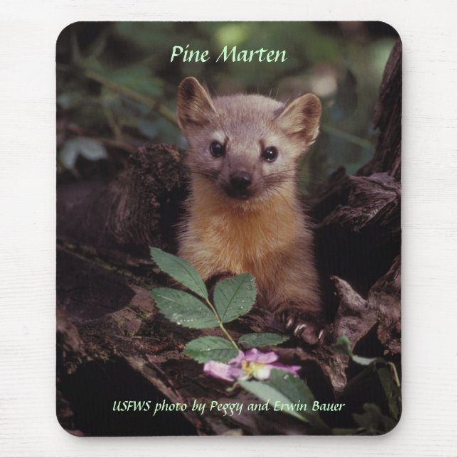 Mousepad / Pine Marten (Front)