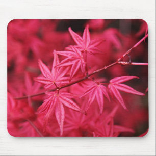 Mousepad-Red Maple Tree Mouse Pad