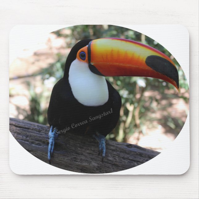 Mousepad Toucan (Front)