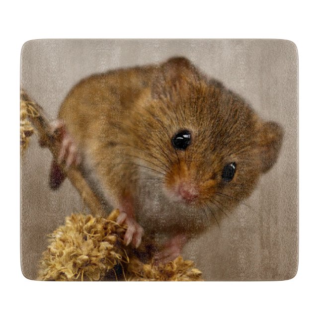 Mousie Cutting Board (Front)