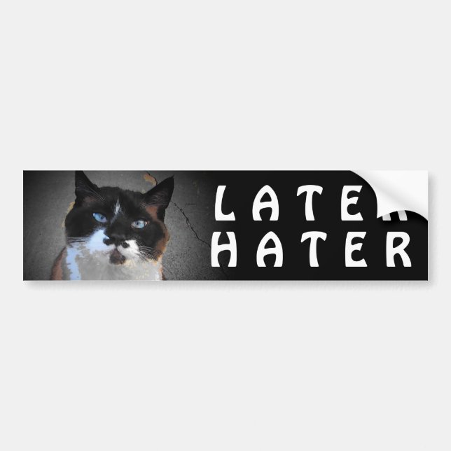 Moustache Cat Says Later Hater Bumper Sticker (Front)