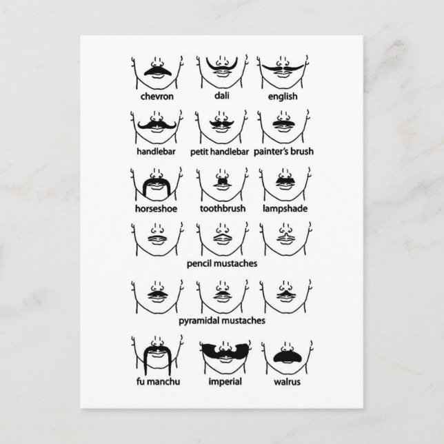 Moustache Chart Postcard (Front)