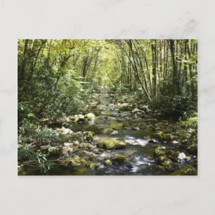 Moutain Creek Postcard