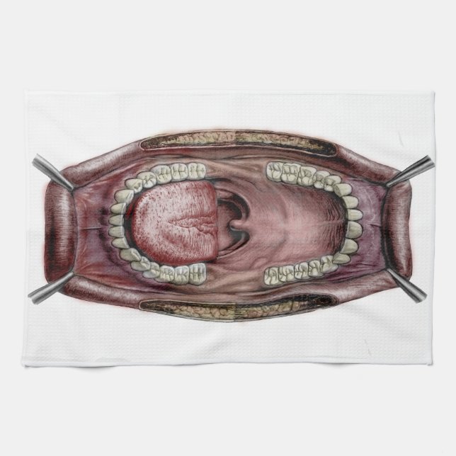 mouth anatomy tea towel (Horizontal)