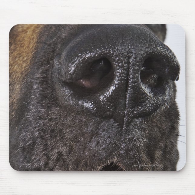 Mouth of Great Dane, close-up Mouse Pad (Front)