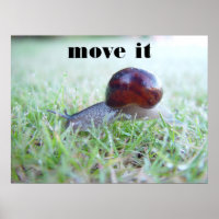 move it