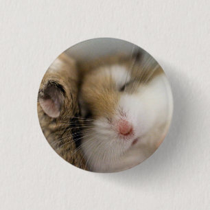 Move over Bob 3 Cm Round Badge
