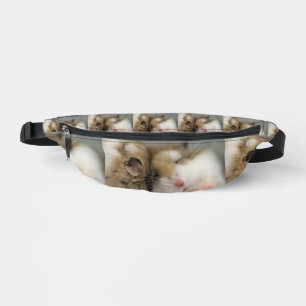 Move over Bob  Bum Bags