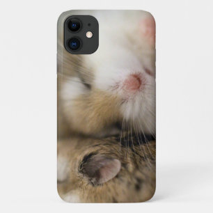 Move over Bob!  Case-Mate iPhone Case