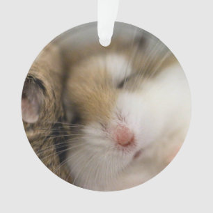 Move over Bob! Ornament