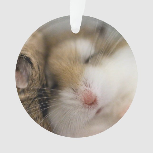 Move over Bob! Ornament (Front)