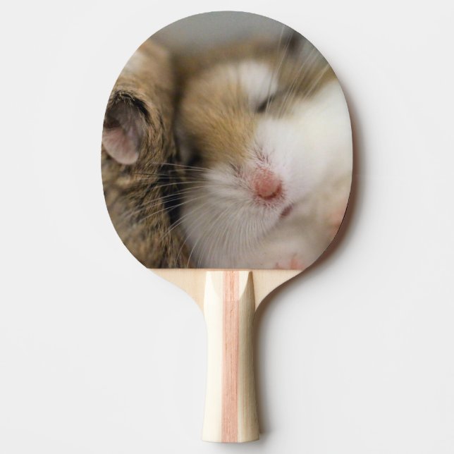 Move over Bob  Ping Pong Paddle (Front)