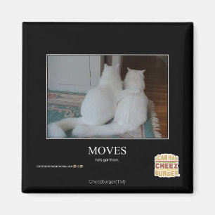 Moves Magnet