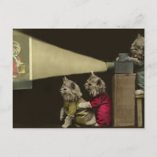 Movie Night Postcard