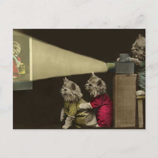 Movie Night Postcard (Front)