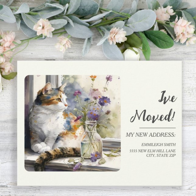 Moving Announcement Calico Cat Window Postcard (Creator Uploaded)