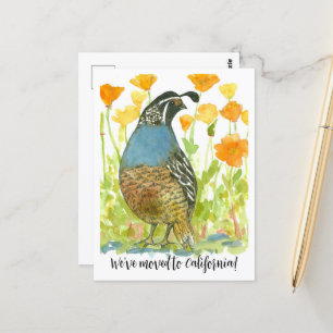Moving Announcement California Quail Poppies Postcard