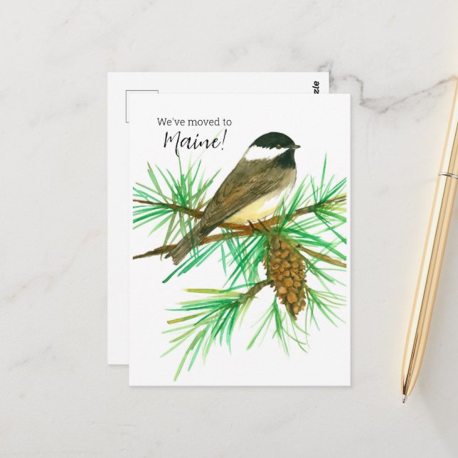 Moving Announcement Maine Chickadee Pinecone Tree Postcard (Front/Back In Situ)