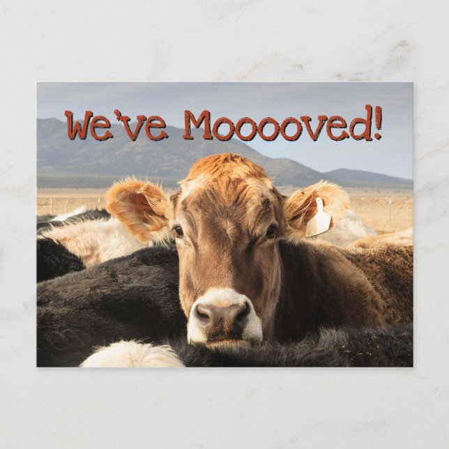 Moving Announcement Postcard (Front)