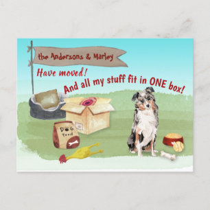 Moving Australian Shepherd Dog Our New Address    Postcard