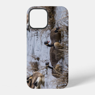 Moving In iPhone Case