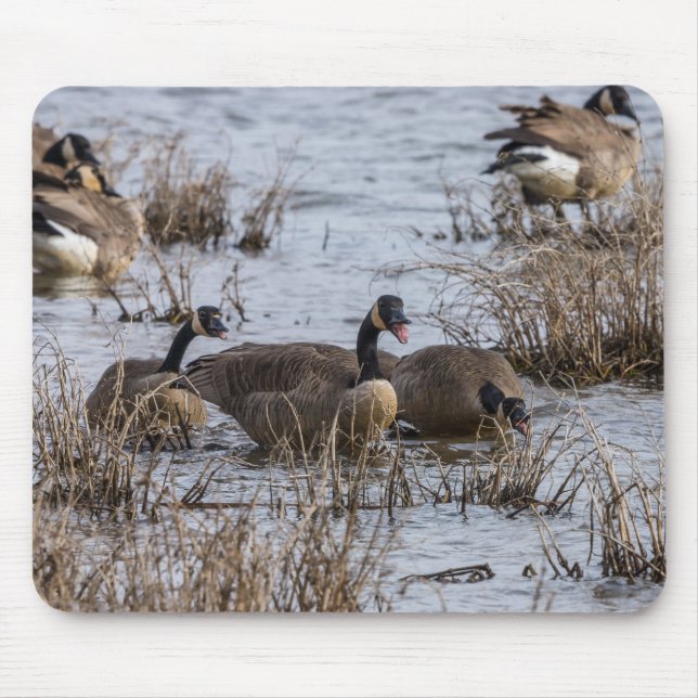 Moving In Mouse Pad (Front)