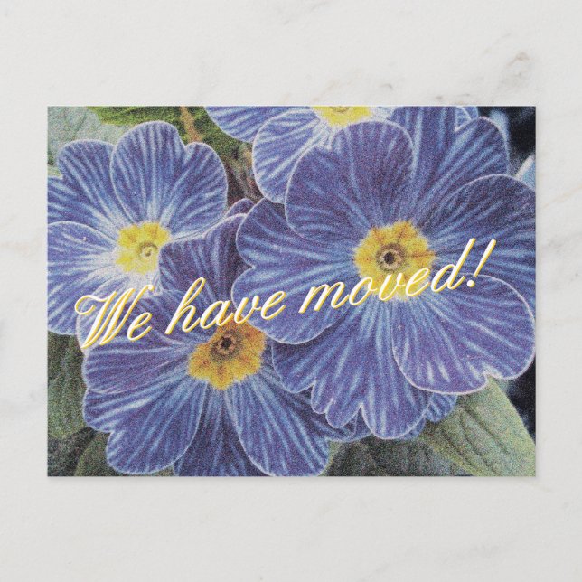 Moving postcards with blue flower design (Front)