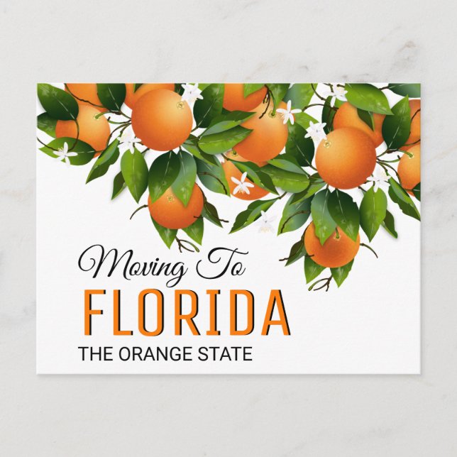 Moving To Florida | Change of Address Postcard (Front)