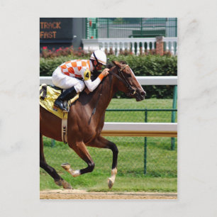 Moving to goal success Horseracing Postcard