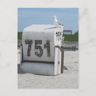 Möwe auf Strandkorb Postcard