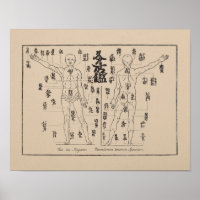 Moxa Points in Japanese Acupuncture Moxibustion