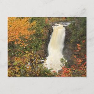 Moxie Falls in Autumn The Forks Maine Postcard