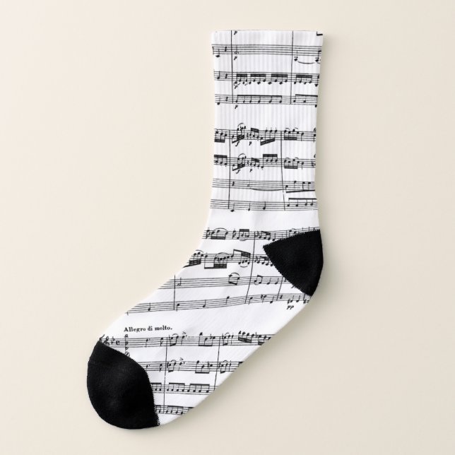 Mozart Music Socks (Left Outside)