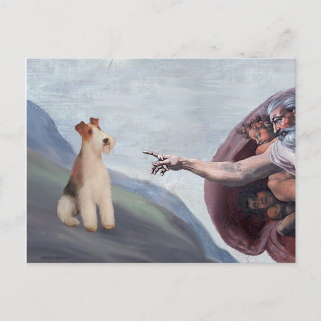 MP-God's Wire Fox Terrier (M) Postcard (Front)