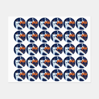 Mr 365 Cricket Stickers